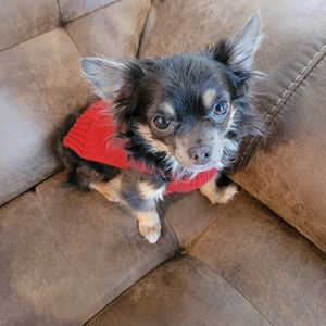 Meet your Posher, Pat